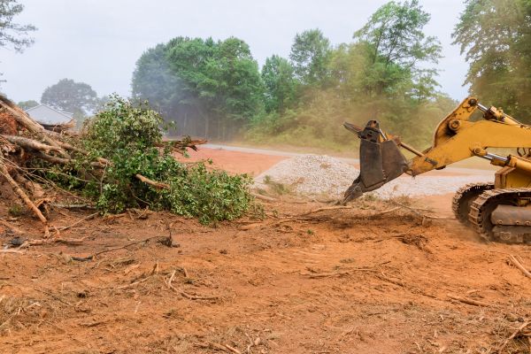 Cost of Forestry Mulching Service in Kirkland