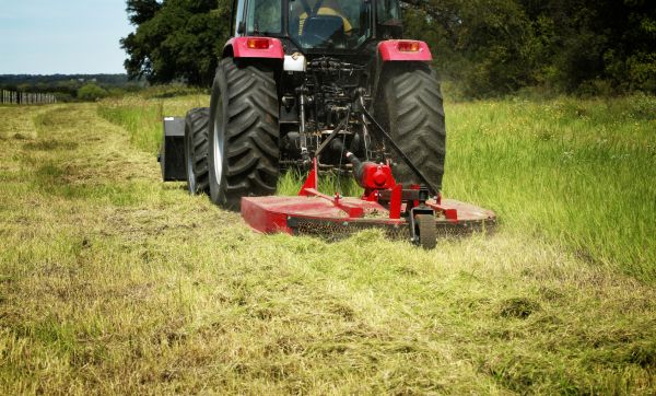Brush Clearing Service in Kirkland