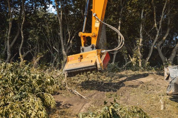Brush Removal Service in Kirkland