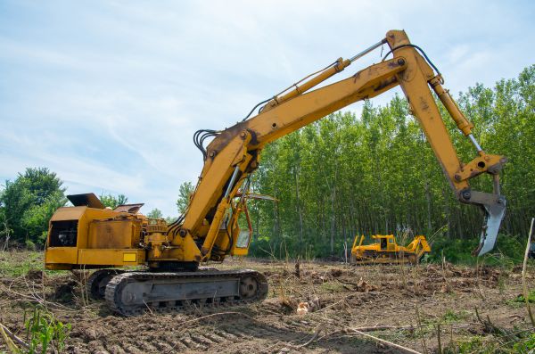 Cost of Farm Clearing in Kirkland