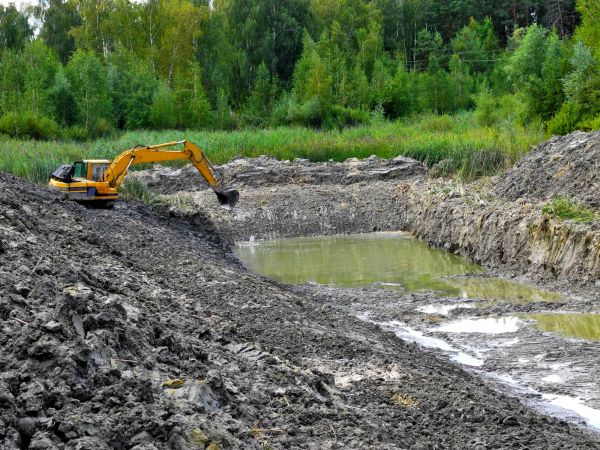 Cost of Lake Lot Clearing in Kirkland