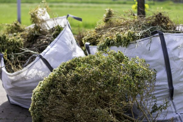 Cost of Bushes Clearing in Kirkland