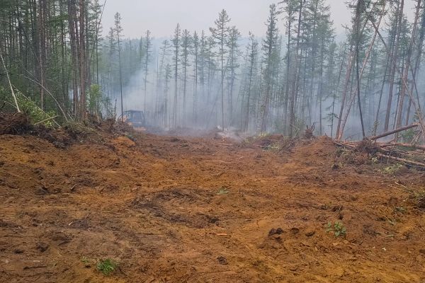 Cost of Hill Clearing in Kirkland