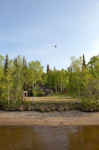 Cost of Waterfront Land Clearing in Kirkland