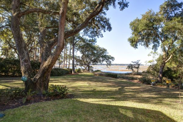 Cost of Lakefront Property Clearing in Kirkland