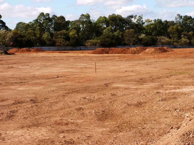 Construction Site Land Clearing